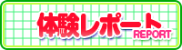 体験レポート